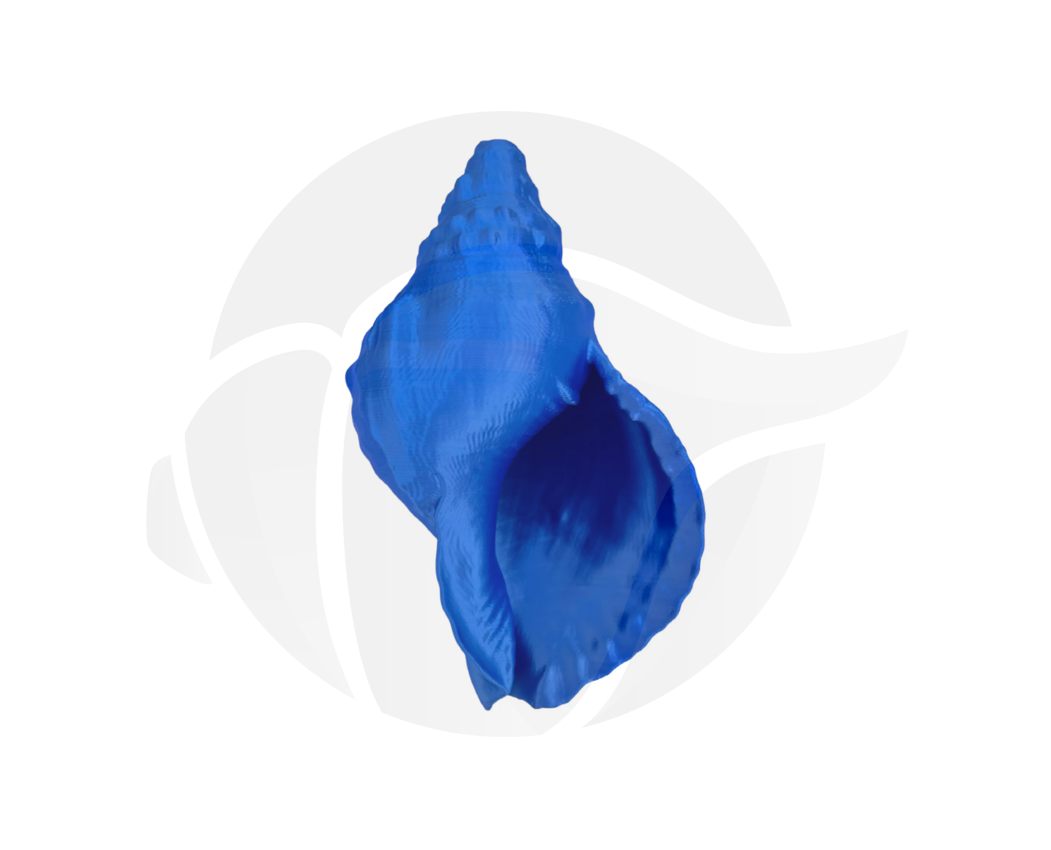 Atlántico - Imagen 2