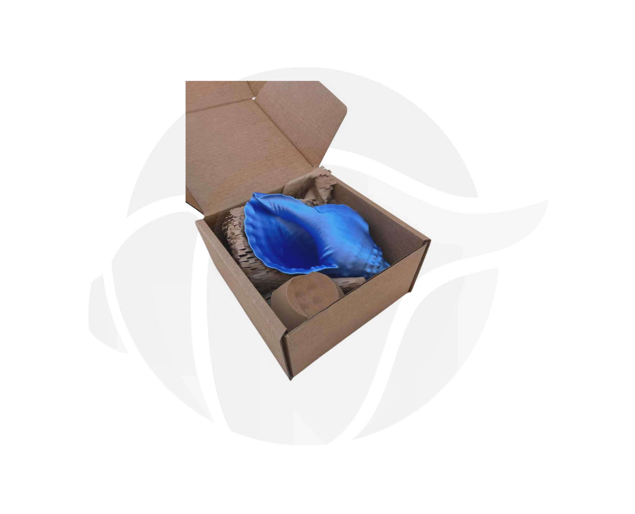 Atlántico - Imagen 4